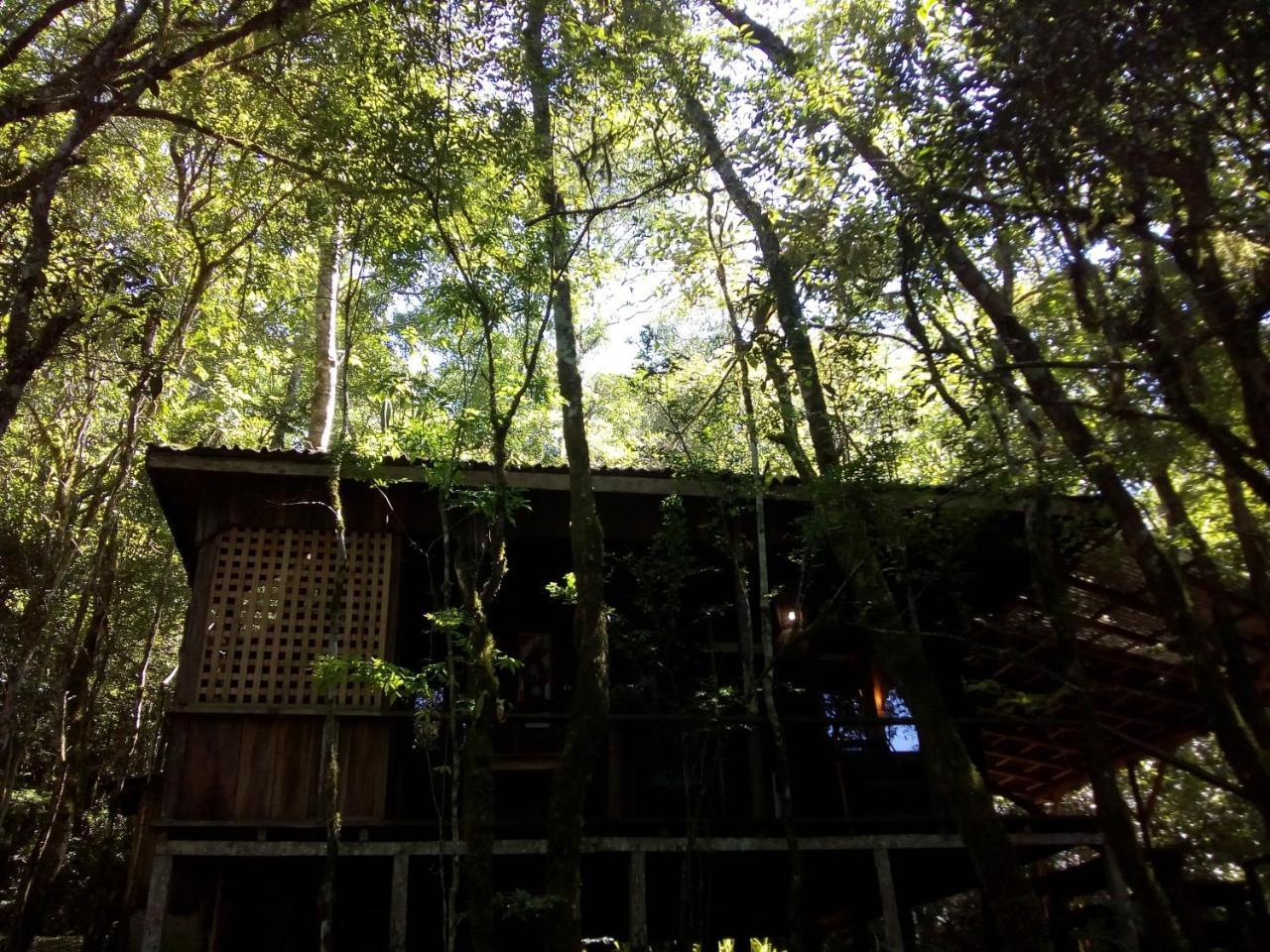 Aldea Yaboty Hosteria Saltos del Moconá Εξωτερικό φωτογραφία